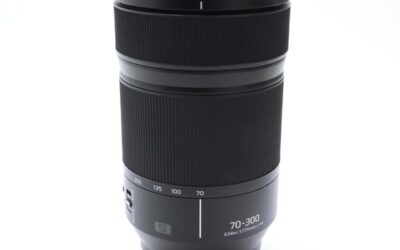 Panasonic LUMIX S 70-300mm F/4.5-5.6 MACRO O.I.S S-R70300 #300