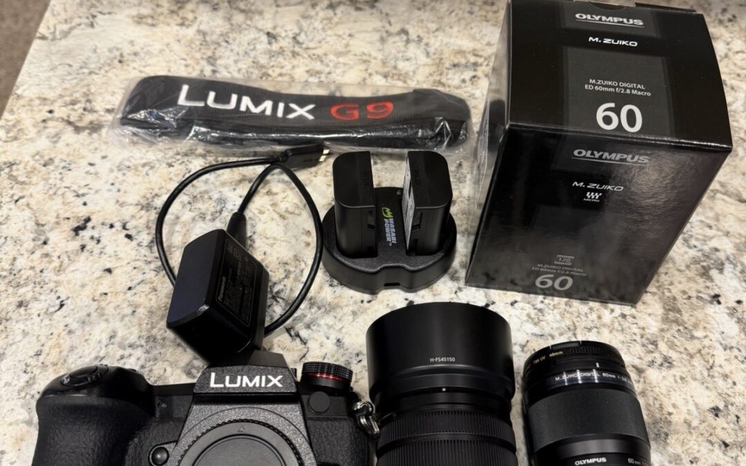 Panasonic Lumix DC-G9 Mirrorless With Olympus 60mm Macro And Panasonic 45-150mm