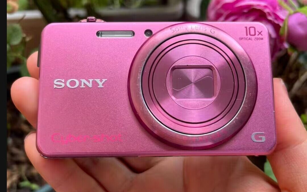 SONY Cyber-shot DSC-WX220 Digital Camera 18.2MP LUMIX Compact Pink/Black