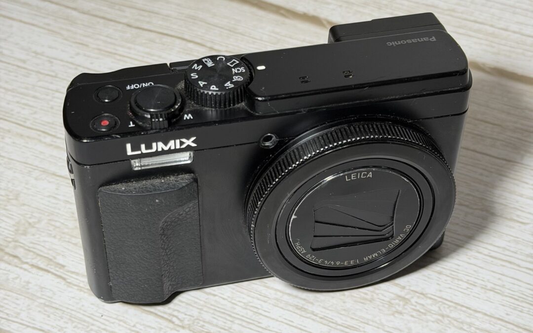 Panasonic Lumix DC-ZS80 20.3MP Compact Digital Camera