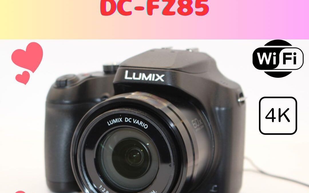 Panasonic LUMIX DC-FZ85 High Zoom Camera 60x Optical 1200mm Excellent Condition