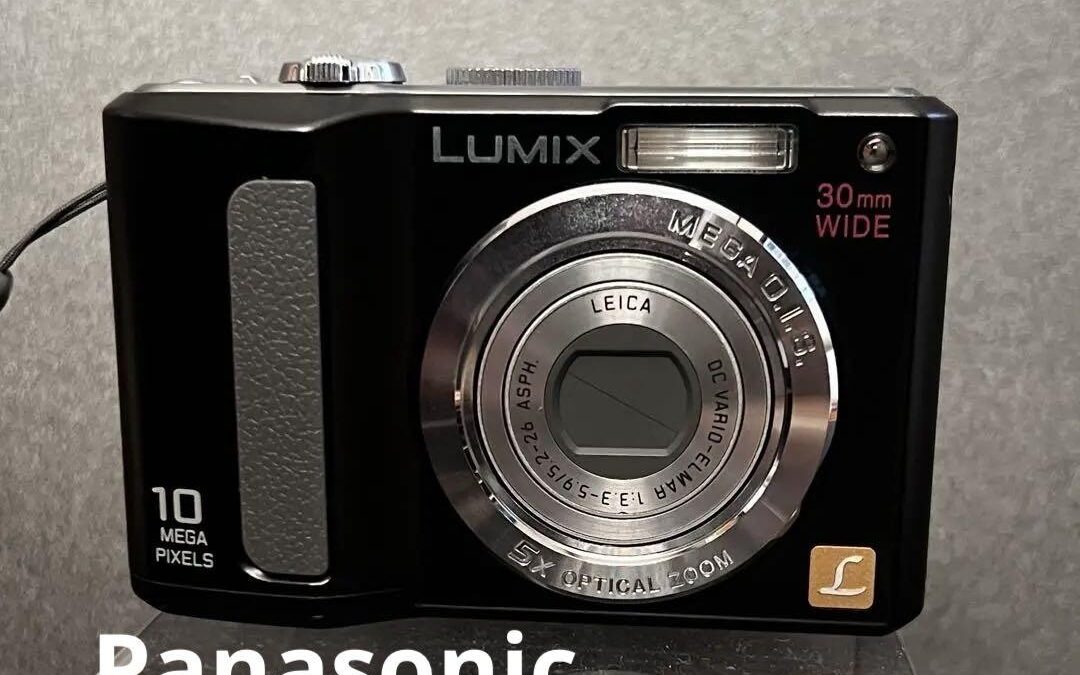 Panasonic LUMIX DMC-LZ10 Compact Digital Camera Excellent Functionality