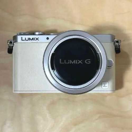 Panasonic LUMIX DMC GM1K Mirrorless Camera