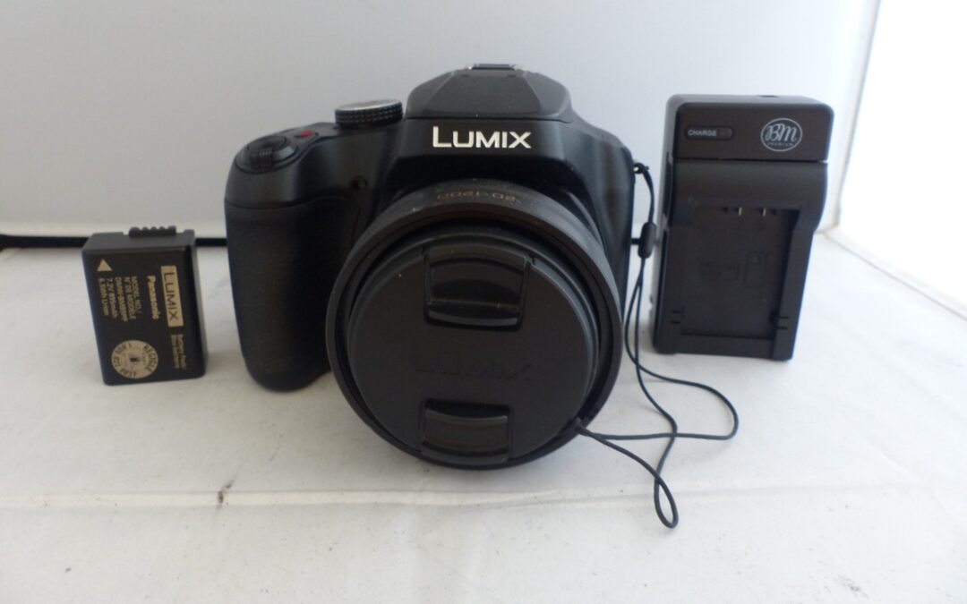 Panasonic Lumix DC-FZ80. 20-1200mm zoom lens. In great condition. Item in USA.