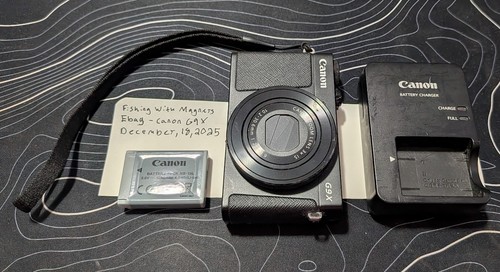 Panasonic Lumix TZ99 Digital Compact Camera – Silver – NEW UK